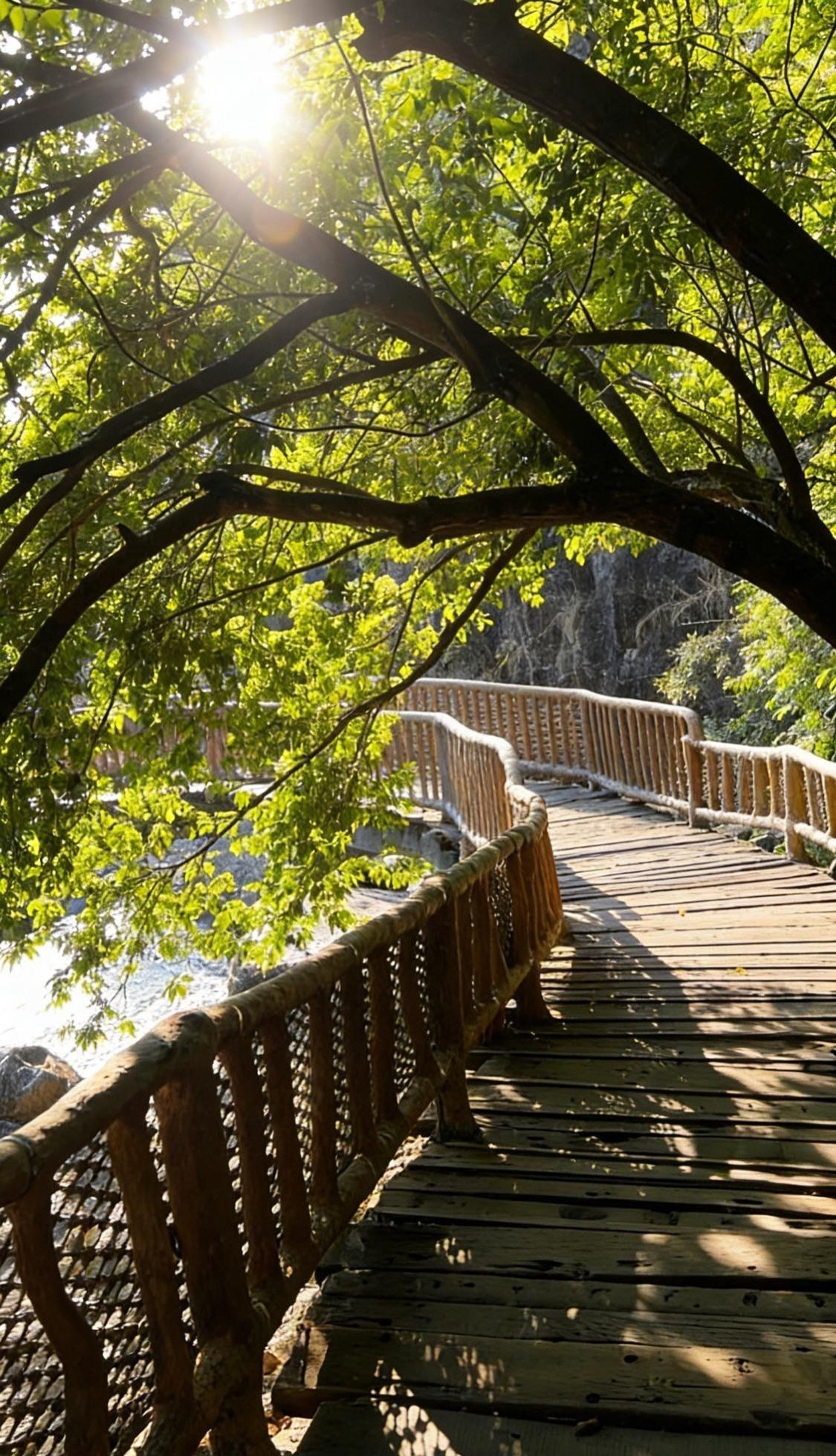 白水寨木质栈道｜闯入绿野仙踪秘境
📍广州 白水寨风景名胜区-木制栈道

📍出