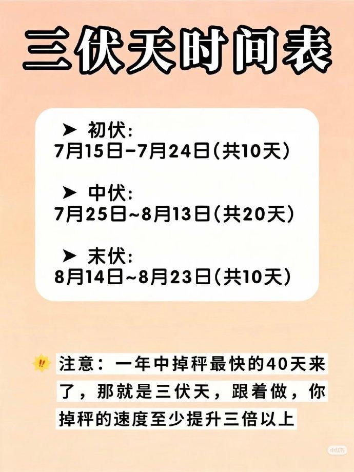 三伏天就要饿 赶紧安排⚠️ 