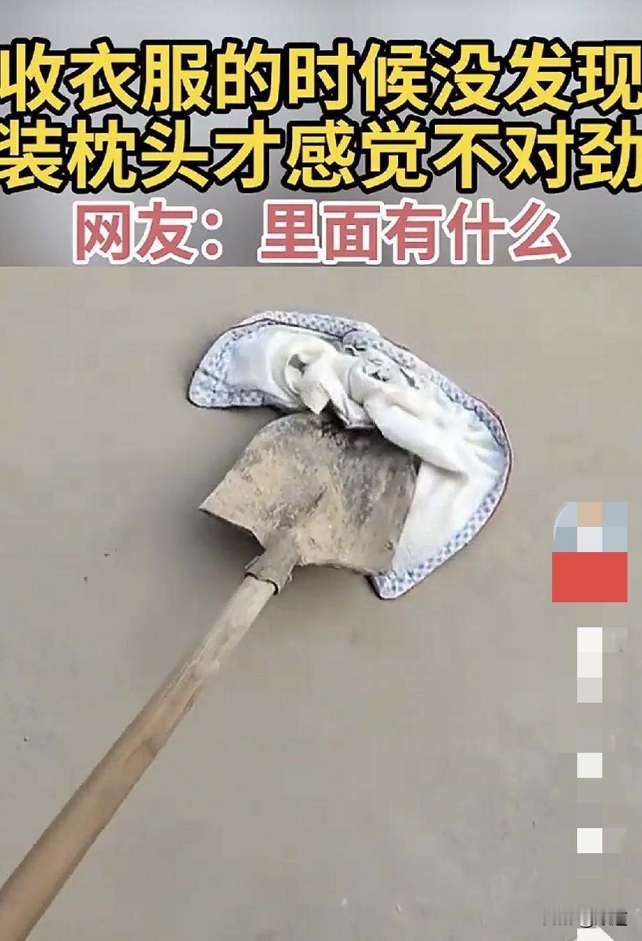 现在的长虫也太多了。一网友洗完枕套放外面晾干。收时都没发现，装枕头时才感觉不对劲