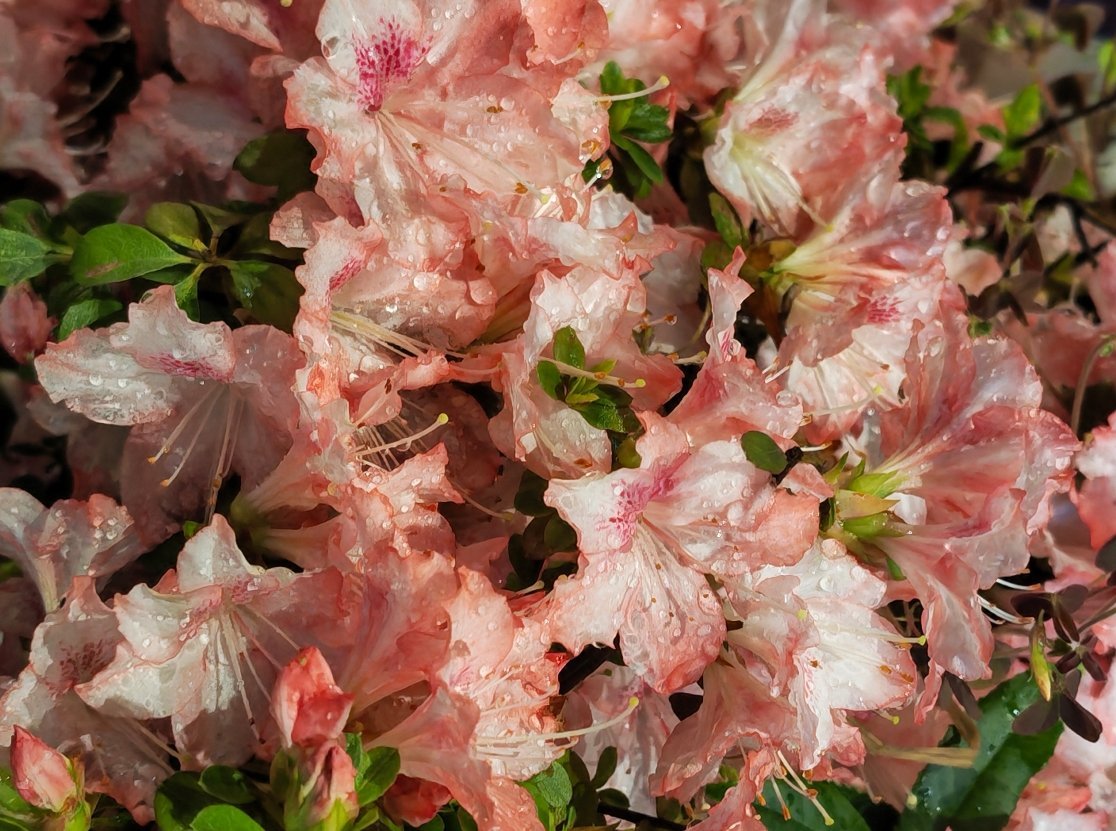 转发抽奖五一又要来啰今年是计划减肥出游还是努力学习精进呢～ 四月在飞快过去夏天也