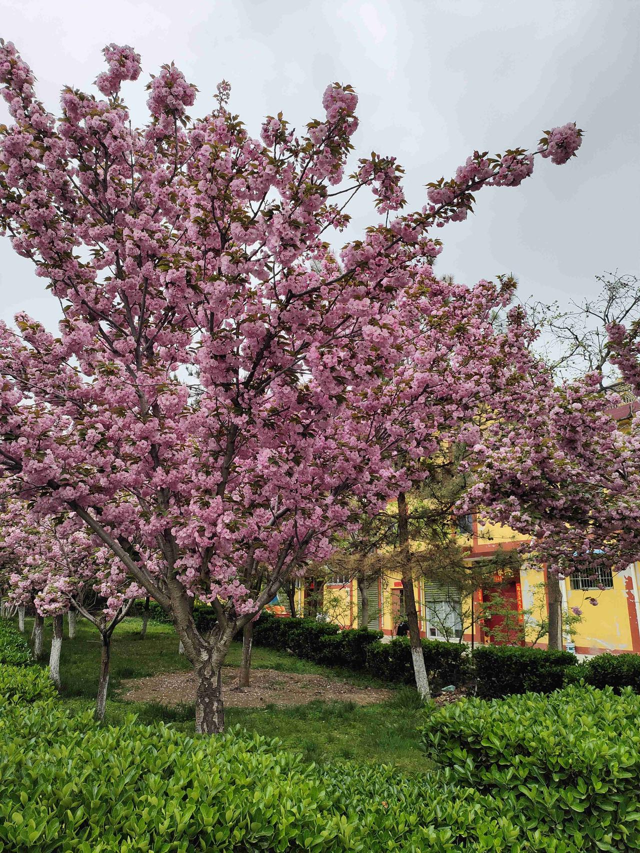 我的今日状态：😁轻松愉快
我这里的天气：☀️晴天