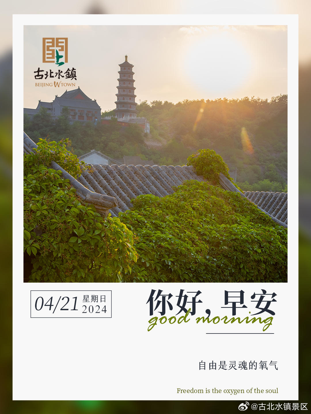 自由是灵魂的氧气早安，宝子们~#长城下的鸣桡小镇# #春日cityhappy计划