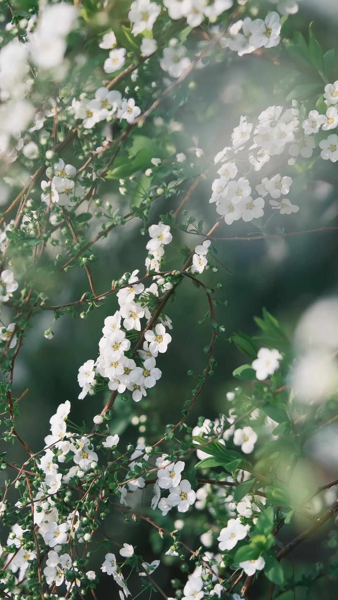 现在的高中生和原来的高中生不一样了，现在的高中生能够自己静下心来做研究的人少得多