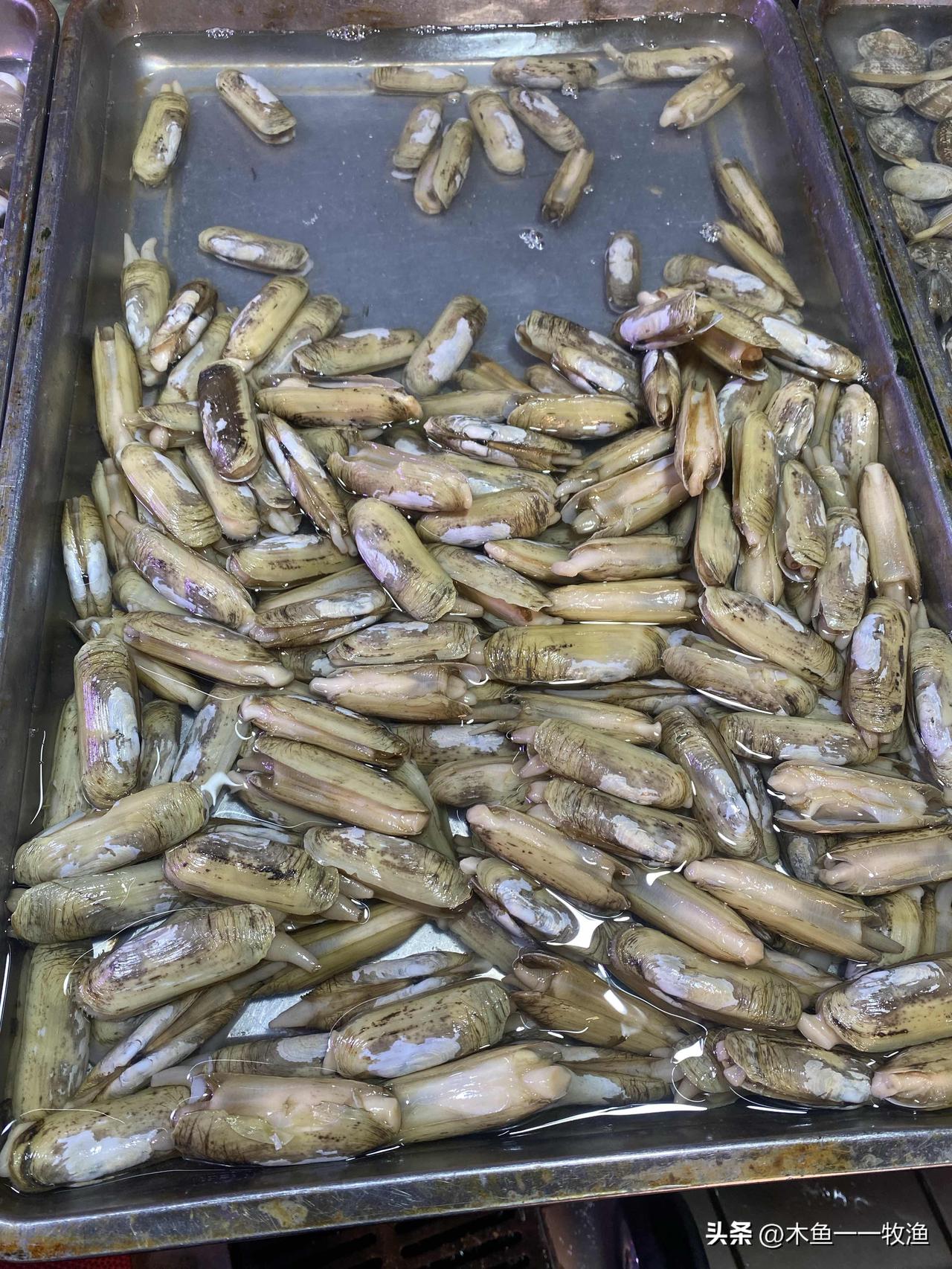 今天中午，我做了两个山东家做法的水面韭菜盒子，味道真的很不错。上午，我在逛大连南