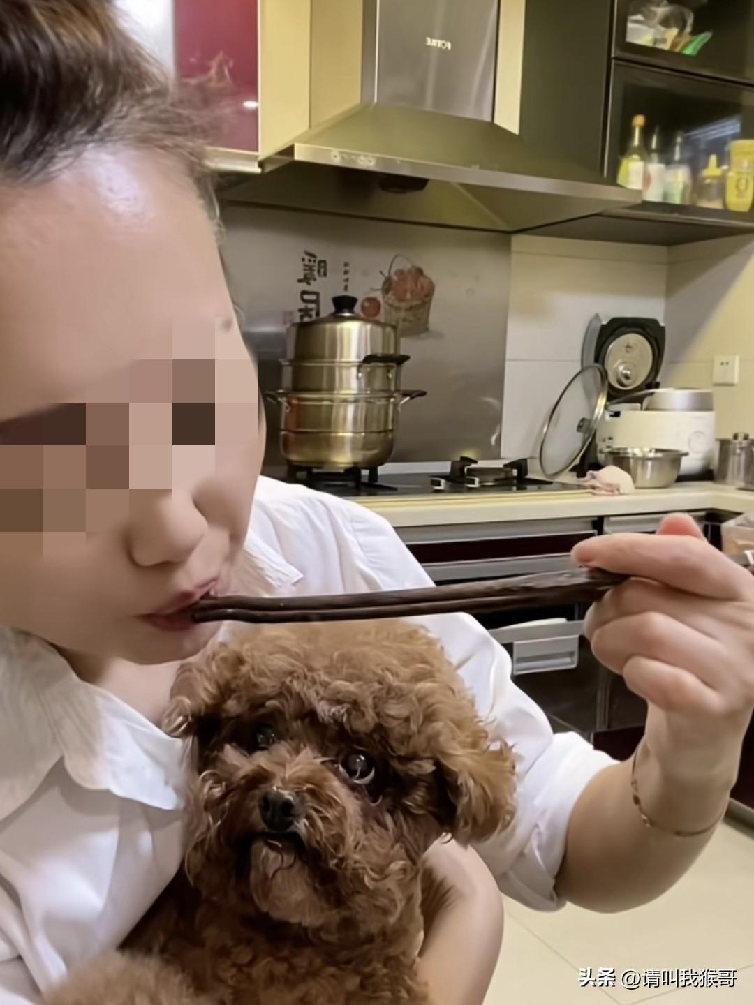 把大块的肉咬碎了，再一筷子一筷子的喂给自家的狗吃，难道不担心交叉感染吗？