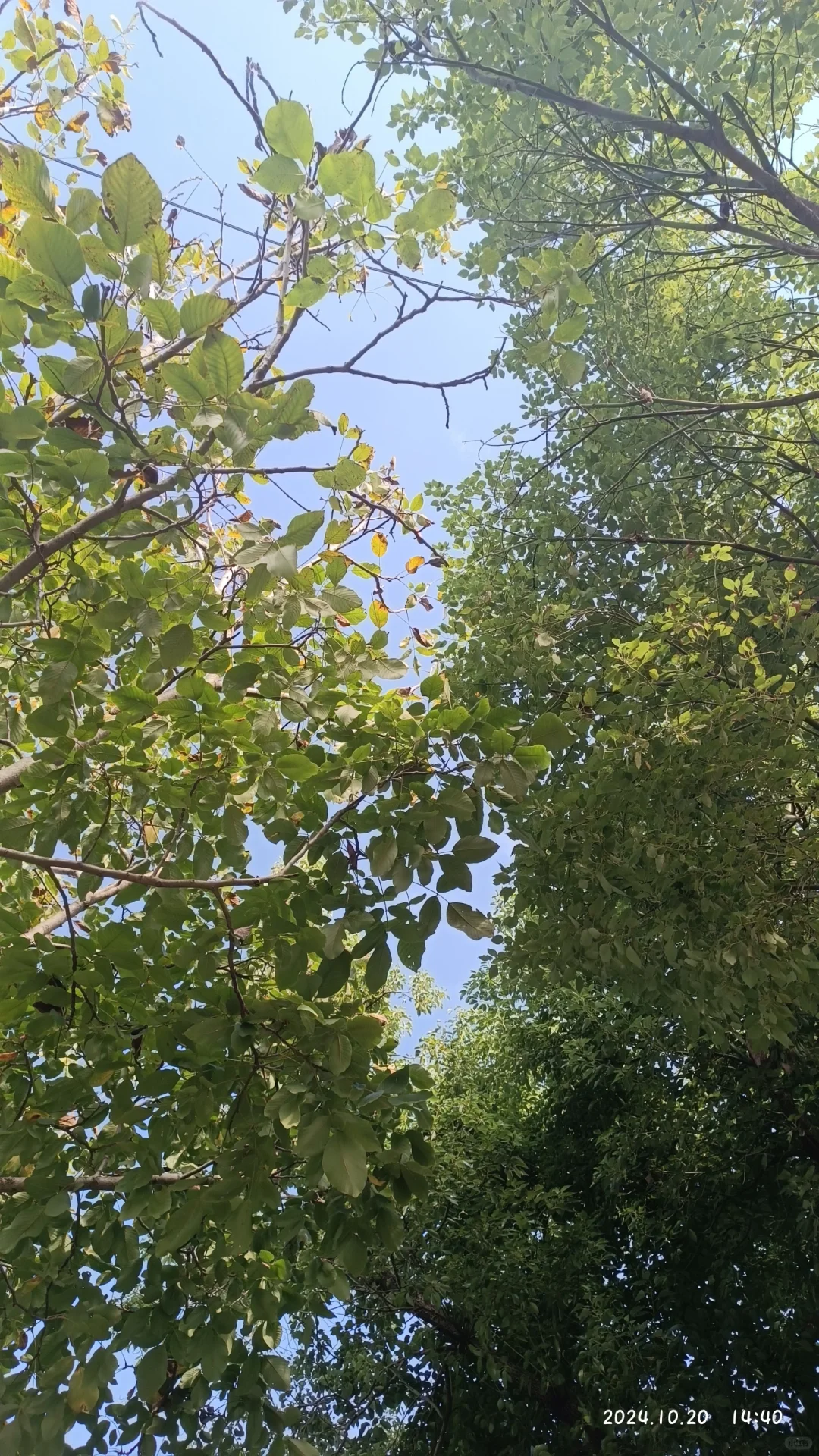 归属感应该是自己自立自强吧