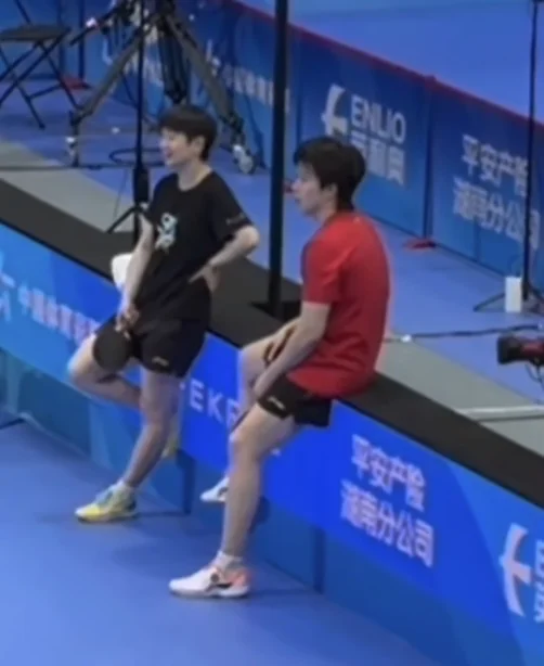 啊啊啊啊啊😄想看小咪坐上去晃脚脚……