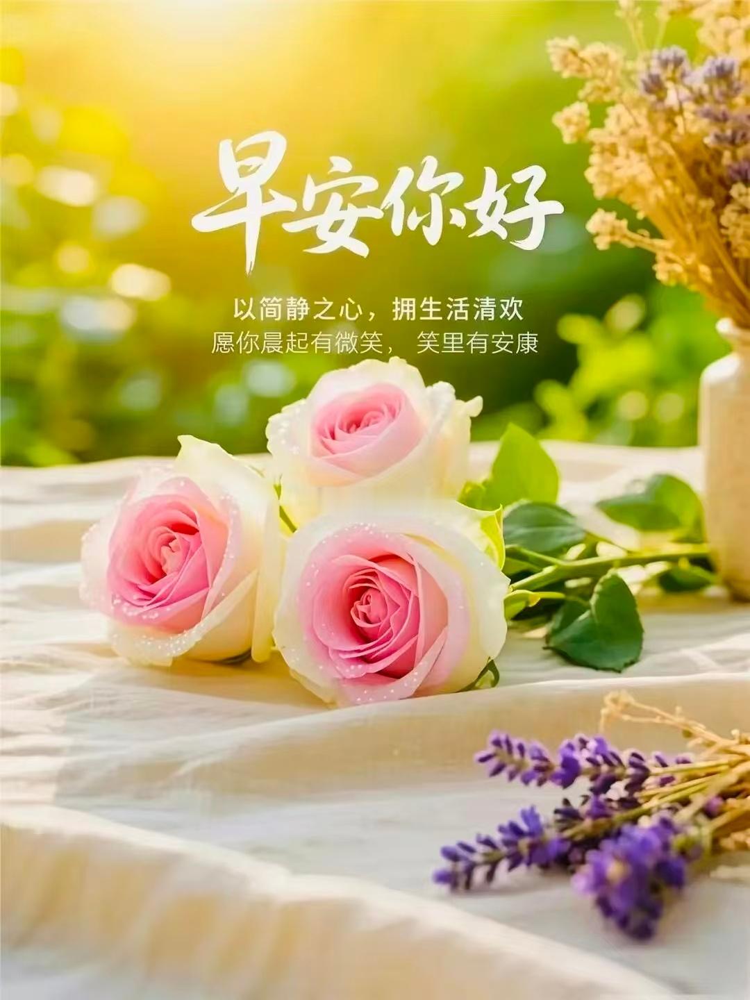 【周二，早安】周二加载完成！慢慢找到属于自己的节奏， 抛开焦虑踏实向前， 愿今日