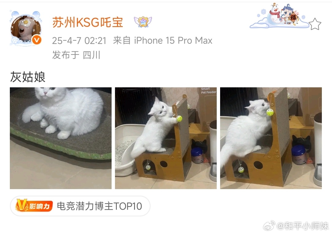 啾咪跟你表爸说再见，跟阿姨回家[二哈]和平精英职业联赛[超话]2025pel春季