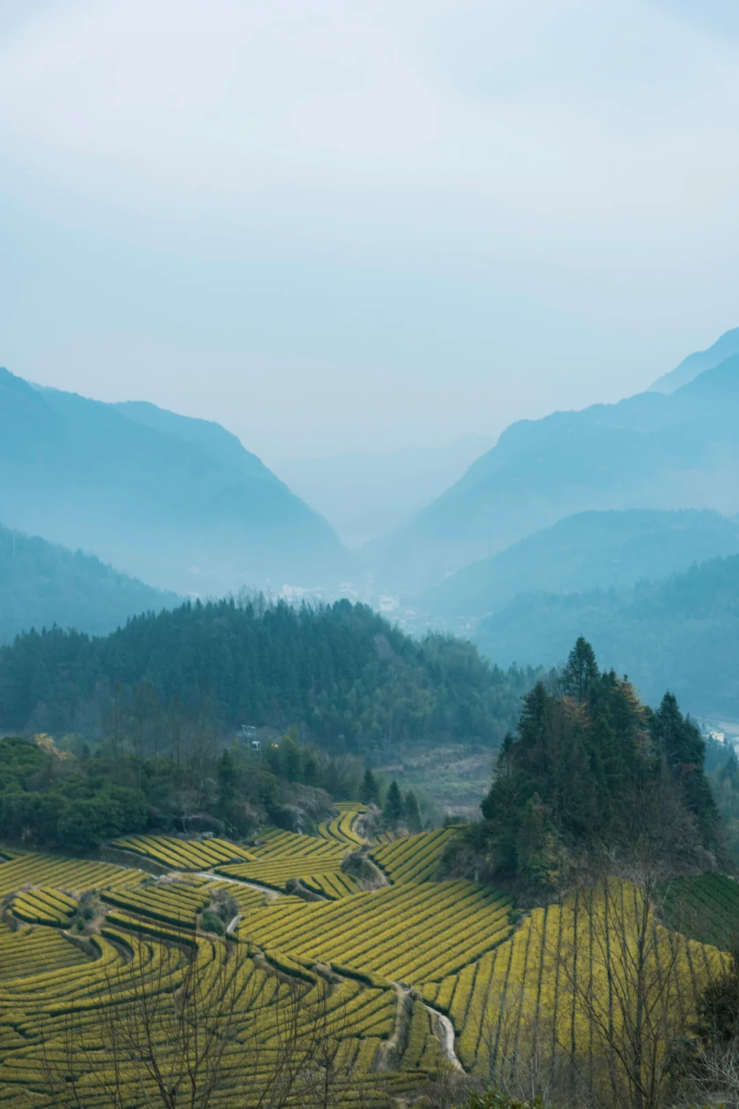 中秋反向旅游：挖到个仙气飘飘的浙南小城