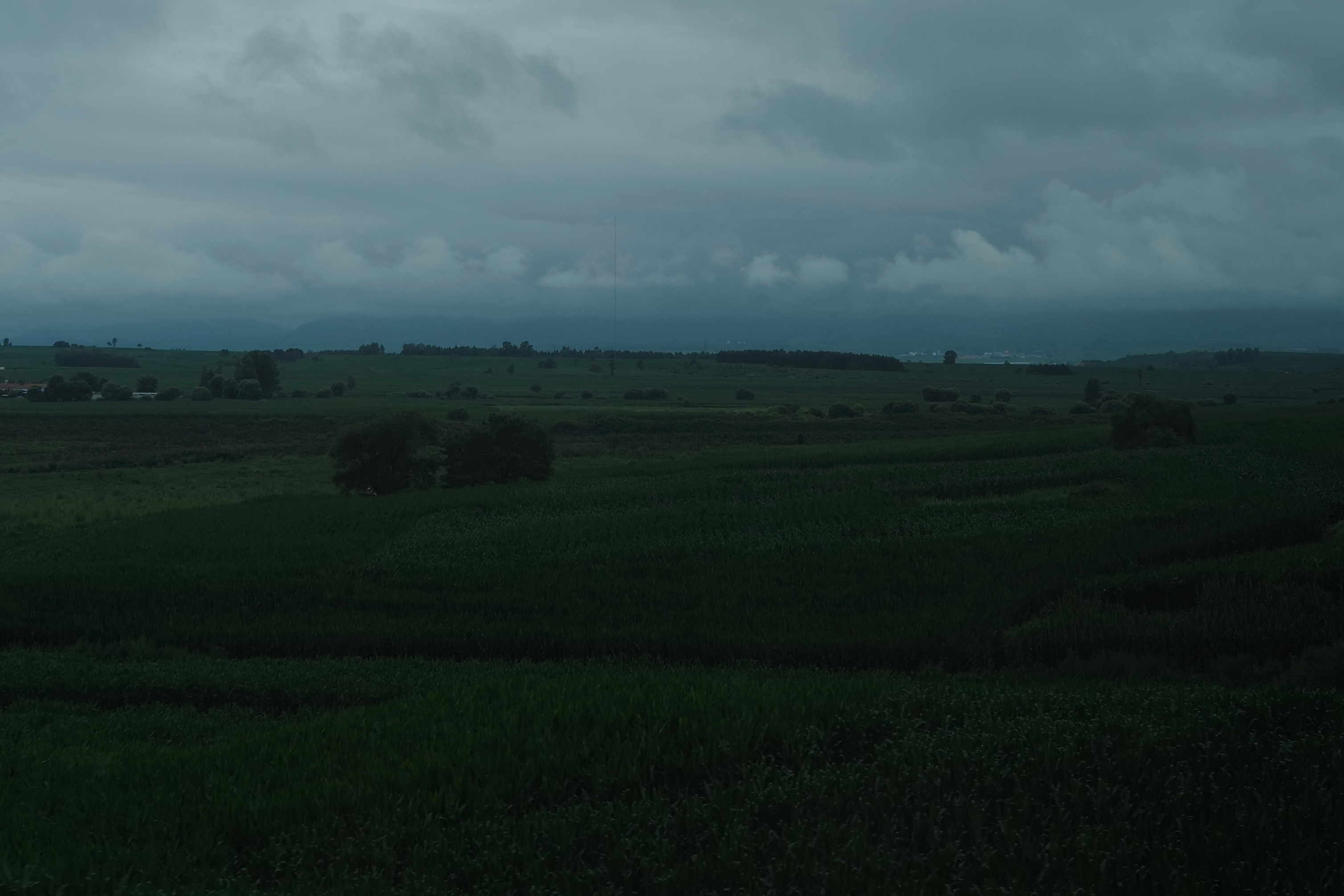 雨中过老林 ​​​