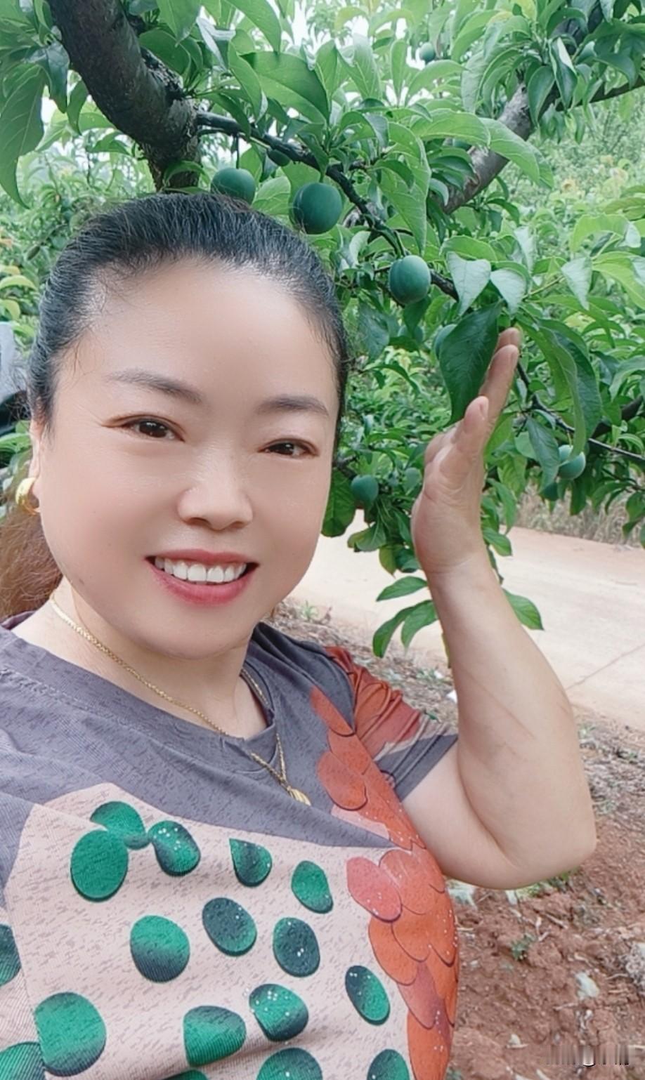 今天一头扎进老家的李子园，心情简直像被风轻轻吹开的花，美到冒泡！[赞][赞][赞