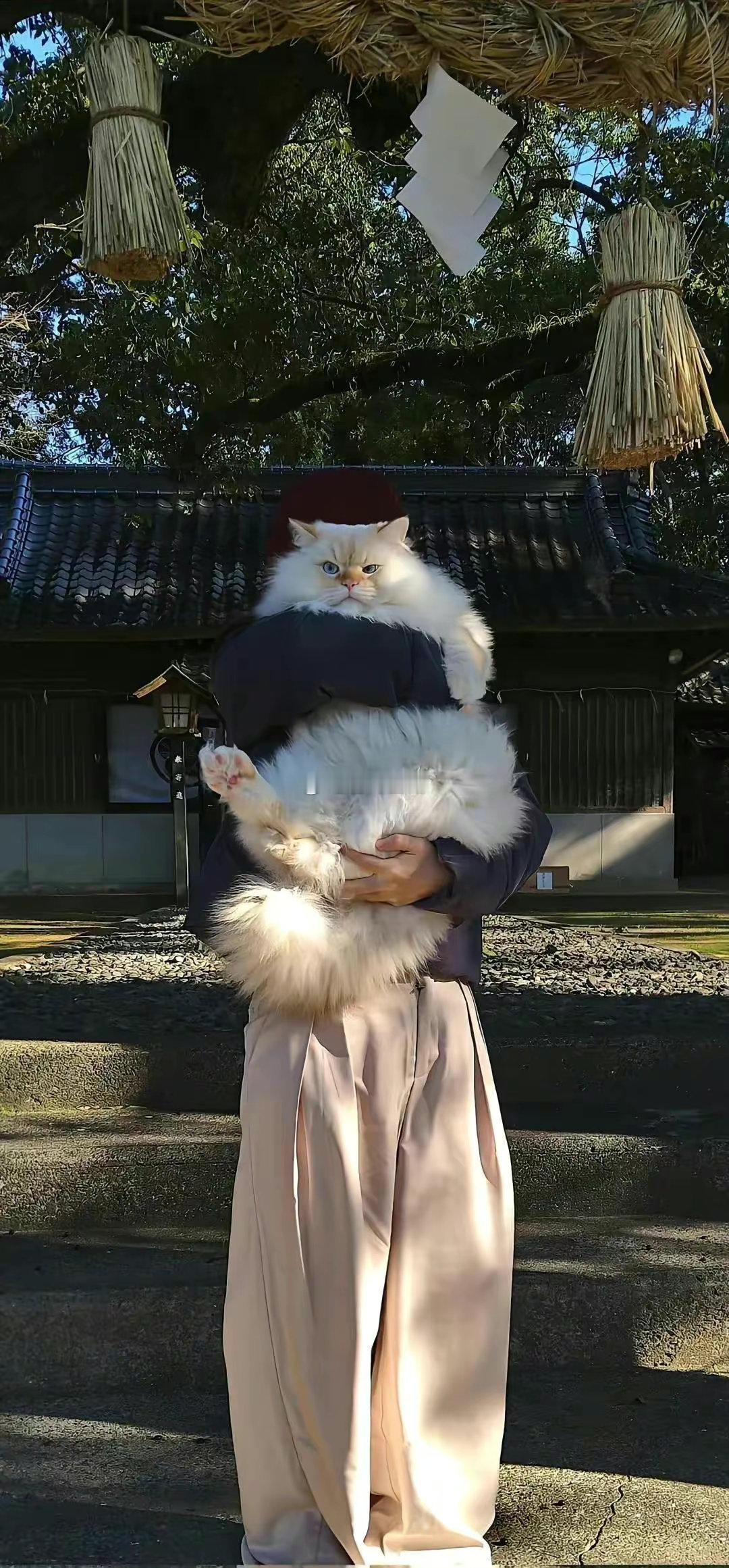 天蝎很有心机，很会隐藏自己的想法，他们是有仇必报爱恨分明的人，滴水之恩涌泉相报，