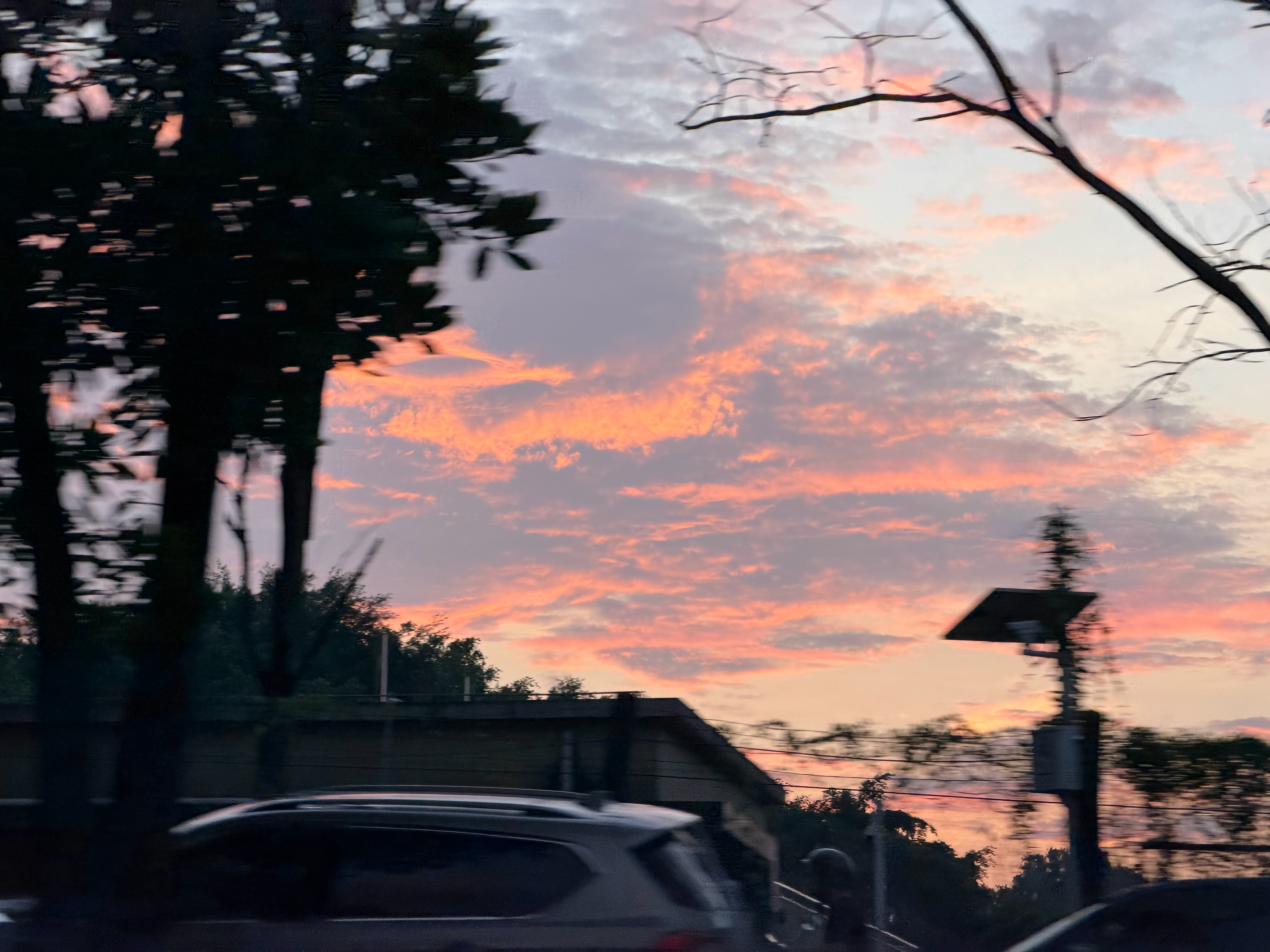 小学学会两句能用一辈子[doge]早霞不出门，_________。 ​​​