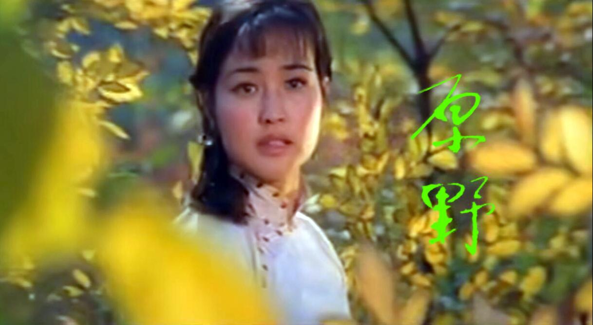 1981年 23万拍出的好电影 却遭禁映 7年后连获大奖 刘晓庆成最大赢家
《原