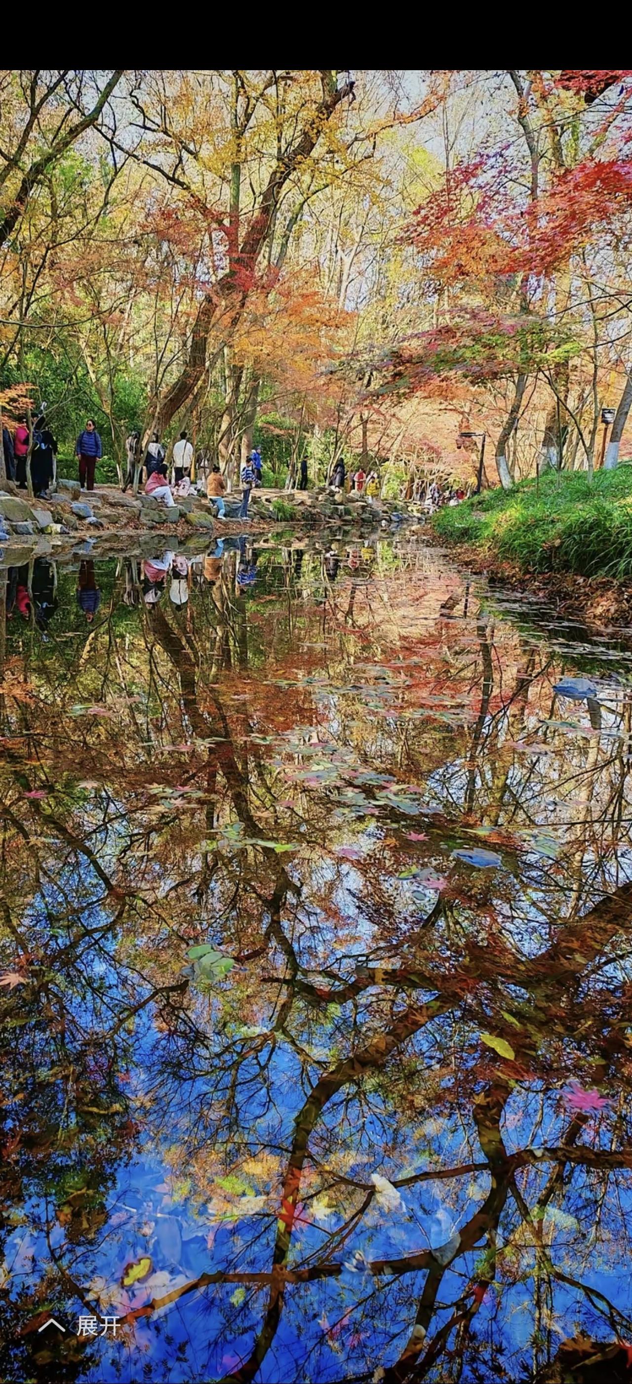 “美好生活更要努力去创造”，这话越品越有道理。我朋友小李，一心搞音乐创作，毕业没
