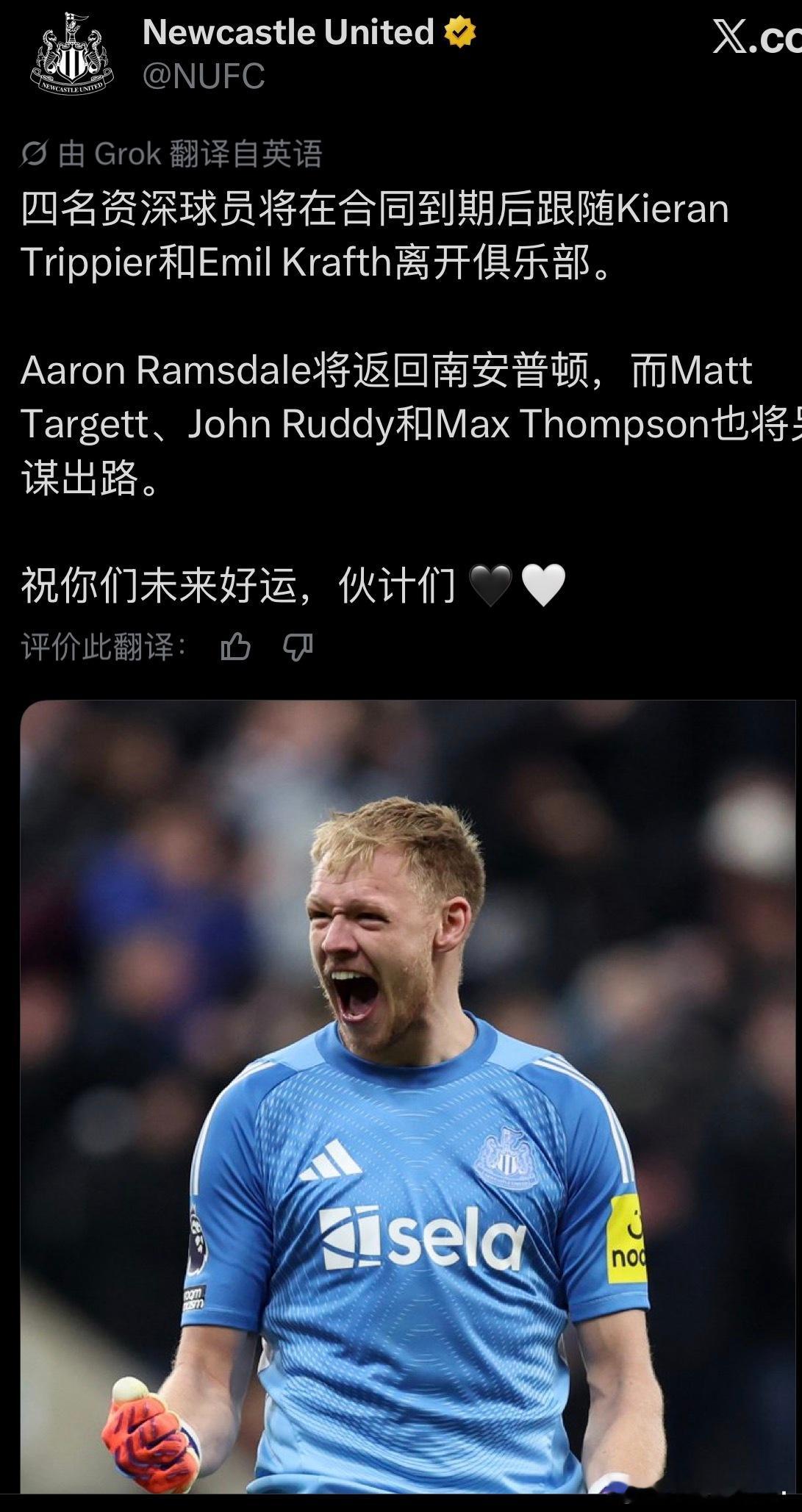 金毛金毛金毛金毛