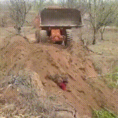 朗朗乾坤，我不敢相信自己的眼睛。
视频是4月24日新京报发的，已经通过各平台审核