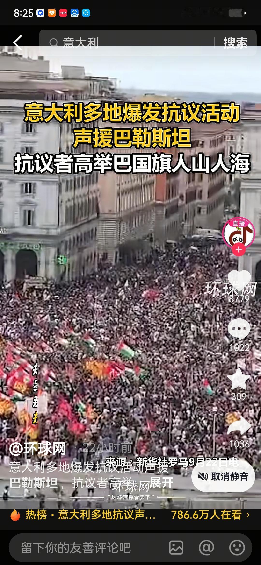 意大利的民众还在游行，抗议梅洛尼政府对巴勒斯坦建国的态度。
意大利是一个爱好和平