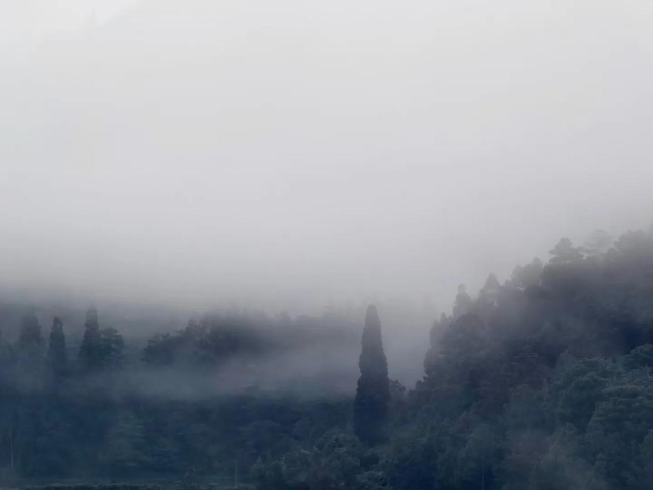 有雾