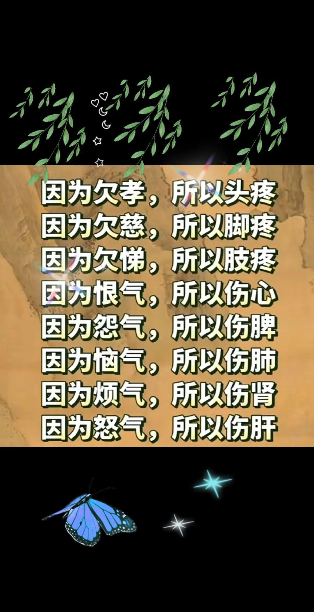 养生从生活中的点点滴滴开始 古人的智慧 受益一生 感受身体与心灵的对话...