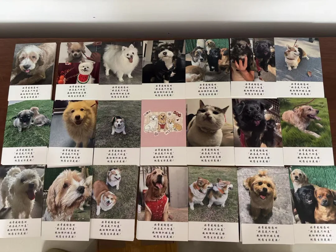 死里逃生的他们不配做明信片