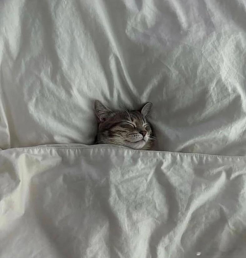 ..cr：catsloversweekly 