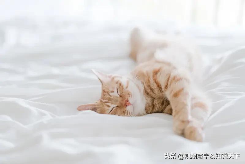 裸睡真不是中年人该有的习惯。
 
四十岁之后，身体肉眼可见的走下坡路。身边不少同