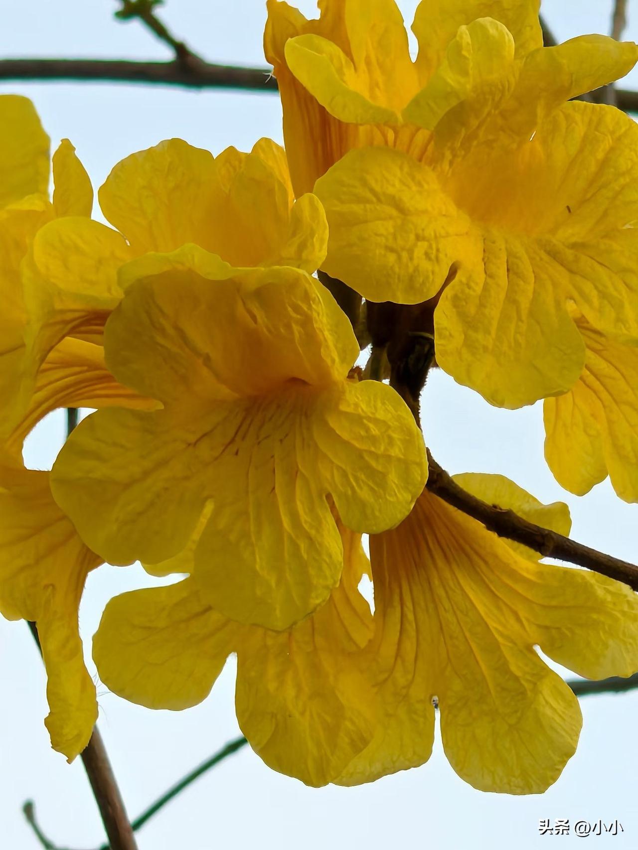 2018年开始倒信用卡，倒了多年一共滚到几十万，就是为了征信不黑，然后也怕逾期催