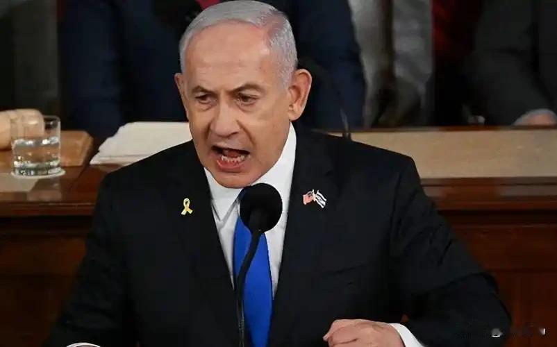 刚传来的消息




       12月1日，以色列总统赫尔佐格公开回应了总理