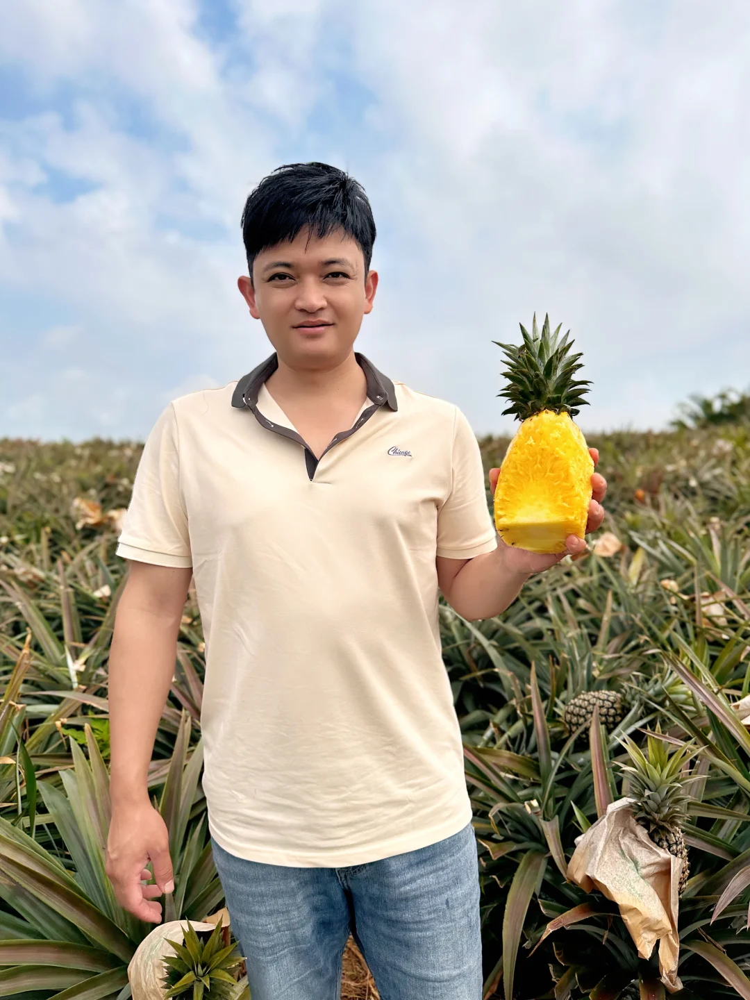 产地溯源，现挑现发，17.9一箱树熟凤梨！