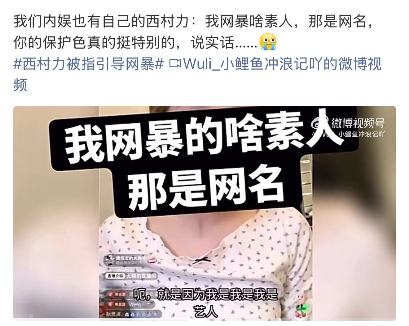 内娱女版西村力西村力被指引导网暴