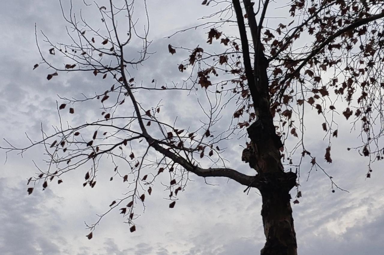 一个“高大上”者与庸俗之人走近，可能是想“亲民”，一不小心就可能是亲近了。
“亲