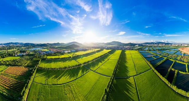 开局之年看“三农”：农业农村经济发展有“三好”
 
2026年是“十五五”开局之