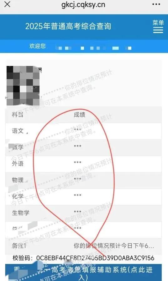 高考成绩怎么全是星号，像是打了马赛克一样
这是没有成绩吗？