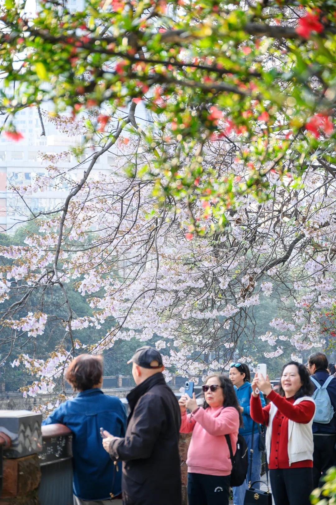 流传千年的老人言，句句都是大智慧：

1、四十多欲，大势已去；五十多情，鸡犬不宁