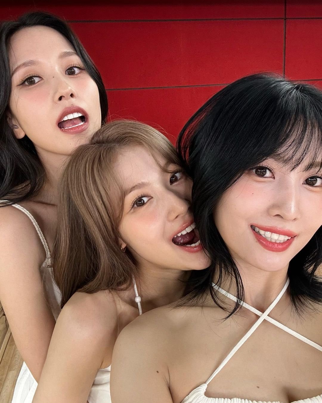桃子晒自拍