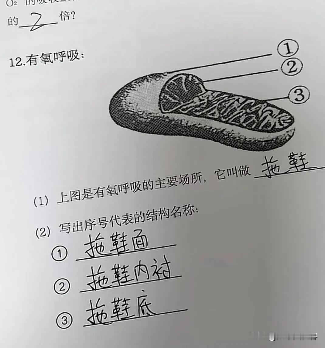 这孩子是人才的
脱口秀之类的
很有幽默细菌……