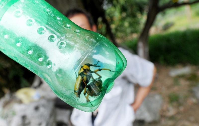 女子拆快递拆出十几条活虫 现在网购虽方便，但也时不时来点“惊喜”。安徽潘女士拆快