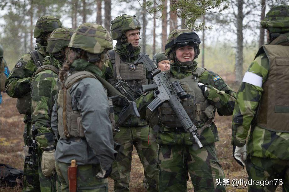 🇺🇸🇸🇪🇫🇮🇩🇰🇳🇴 北约多国先锋旅在芬兰组建

据《Ilt