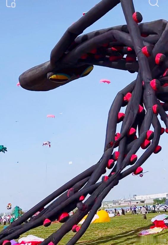 潍坊风筝节万物皆可乘东风飞天风筝节没有放不上天的东西潍坊风筝节最动人的，不只是漫