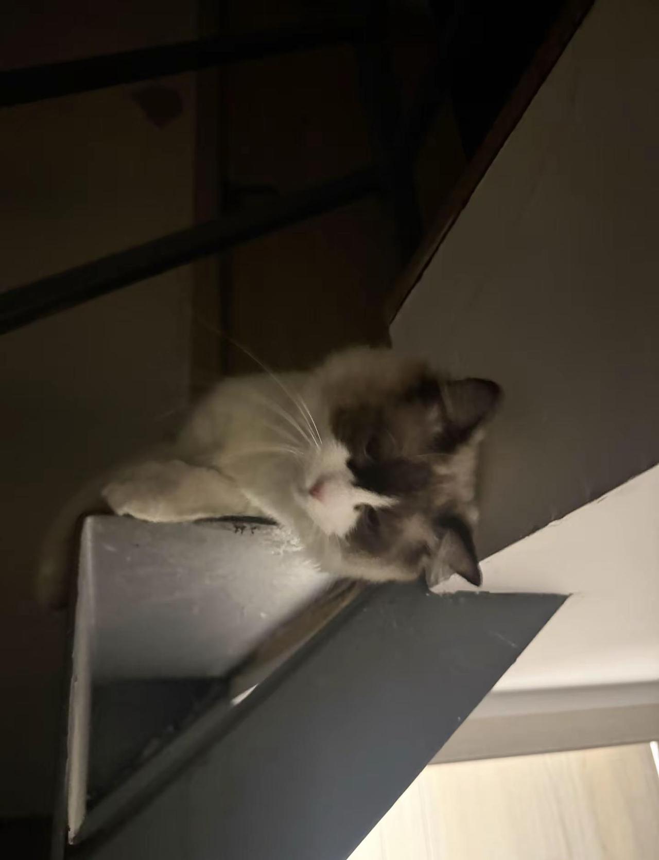 那个时候你说要一百万彩礼 我已经想到宝马m4了