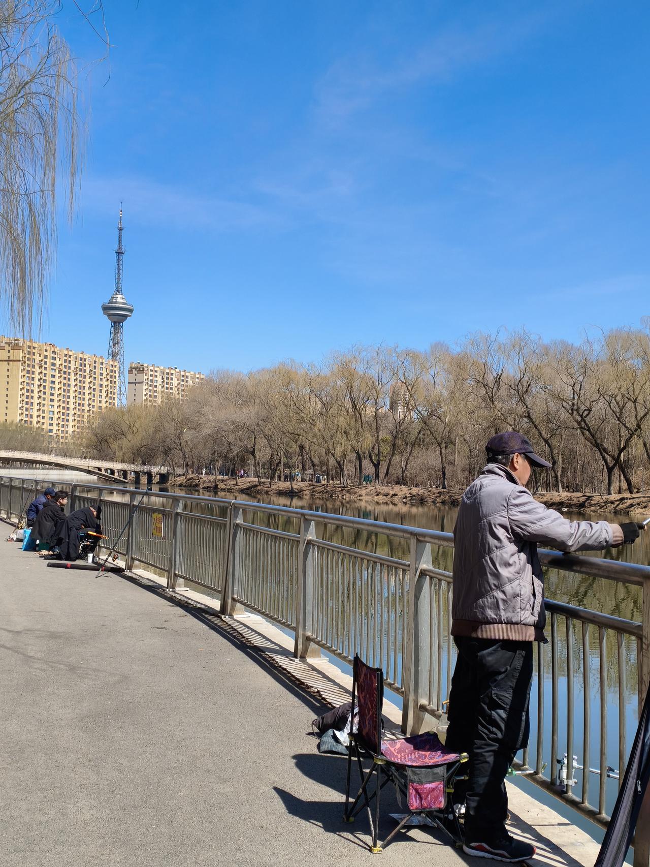 春和景明，钓鱼的人都出来了！