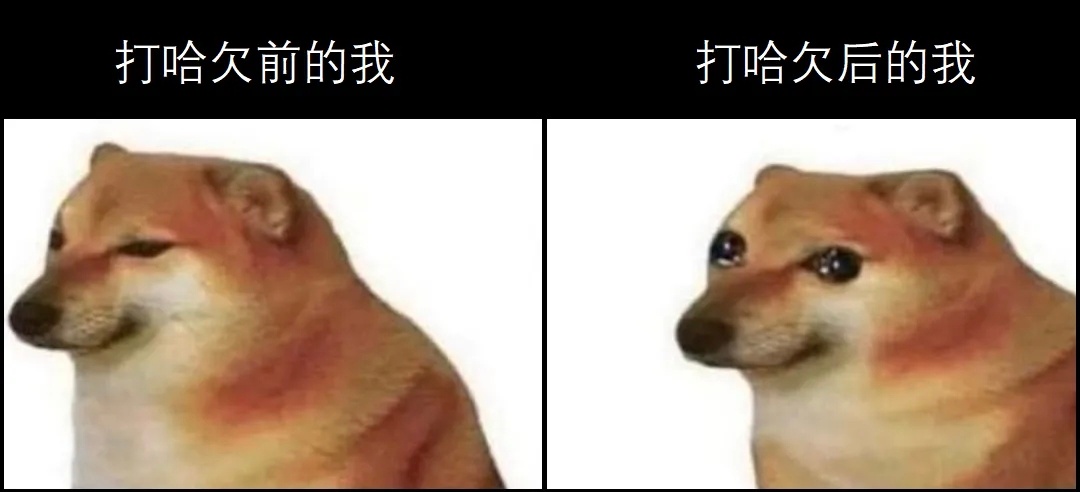 meme ​​​