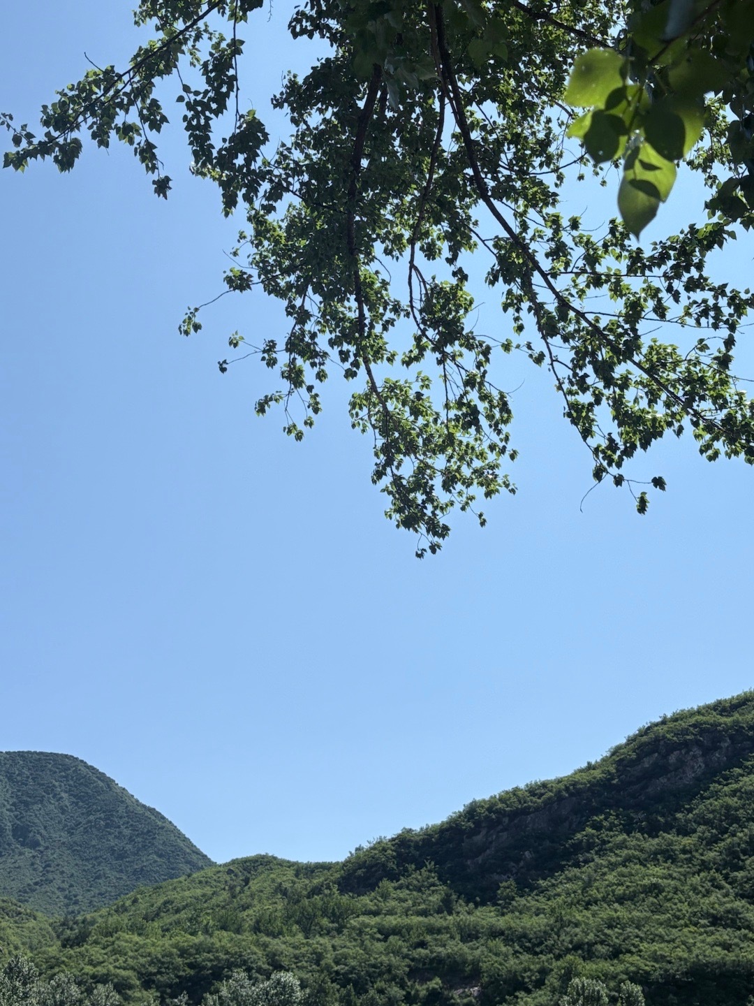 春和景明 ​​​