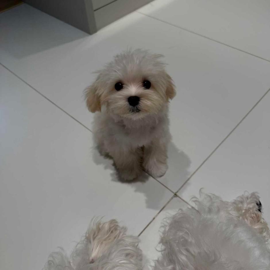 哈哈哈哈哈哈哈哈哈好呆萌的眼神🥺 ​​​