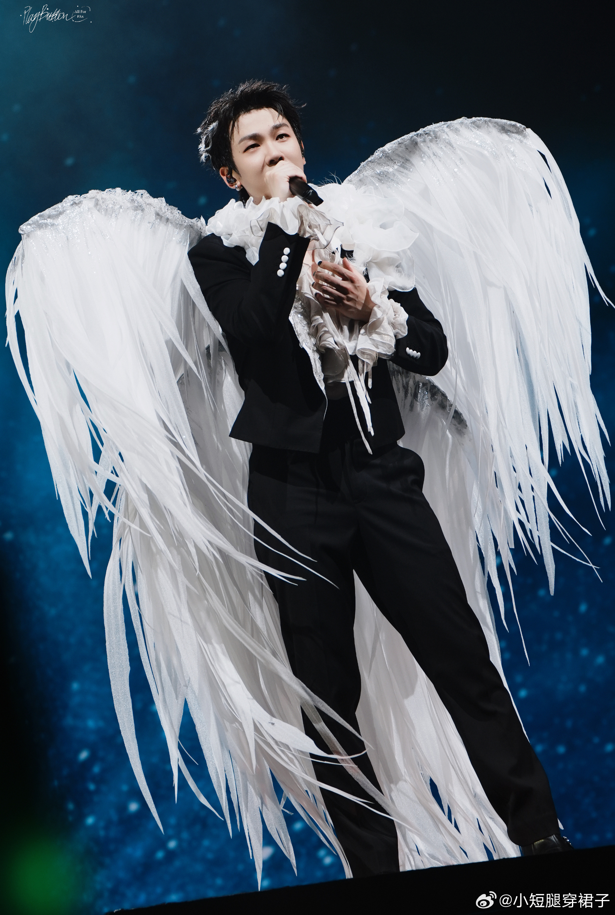 白举纲你神图有了 谁懂这种氛围感呀，壁纸这不就有了吗，光打在脸上太温柔了，白举纲