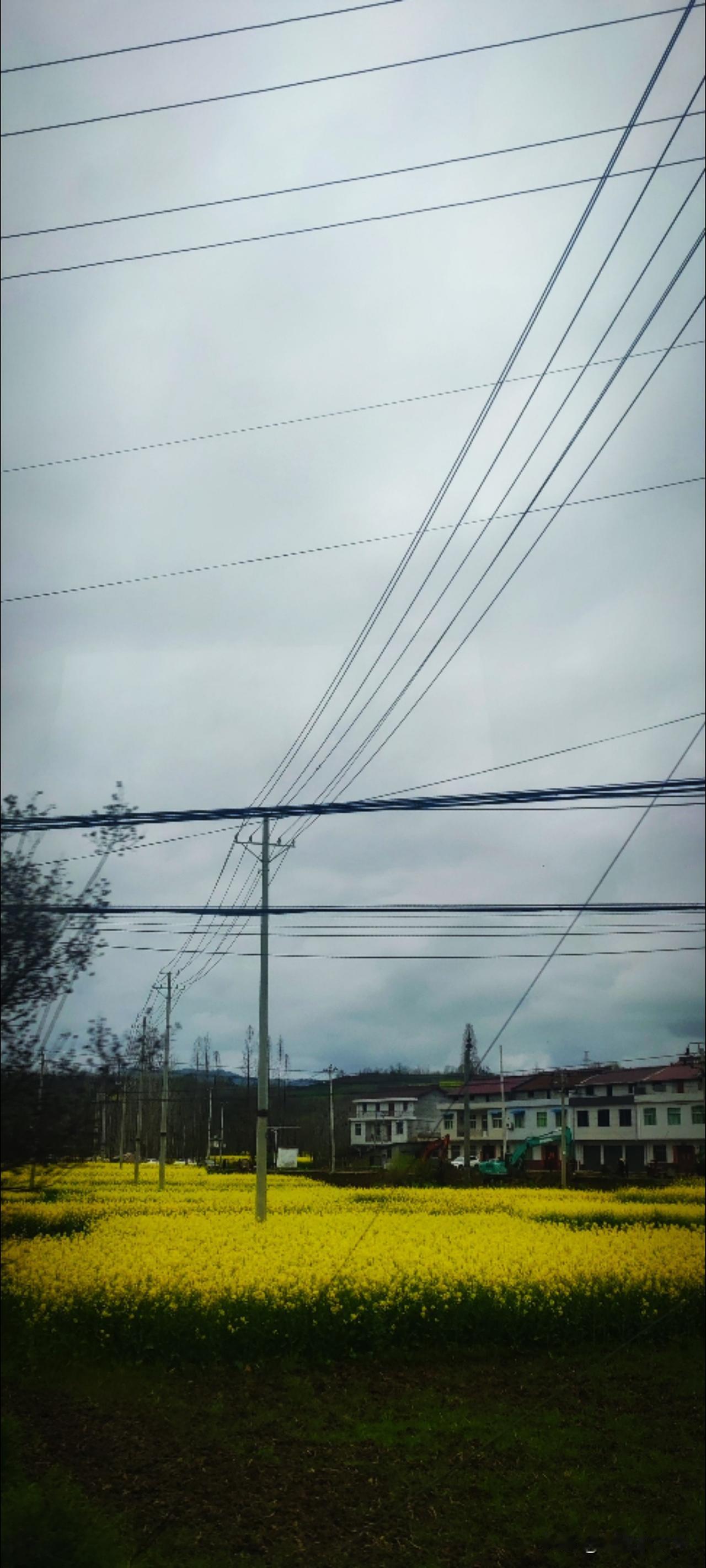 春雨，间歇式的飘一阵停一阵，厚厚的云层有些压抑。可是一块一块的油菜花田，灿烂的点