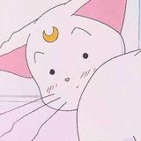 阿蒲热品影视剧