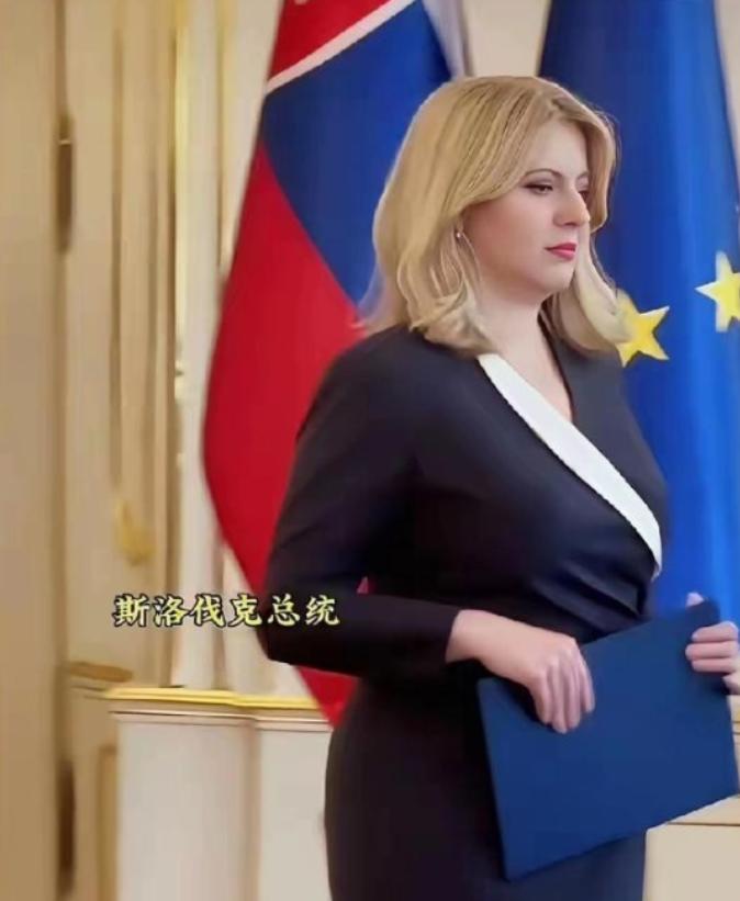 这应该是目前世界上最美的女总统了。提起世界各国的领导人，有位女总统总能靠独特气质